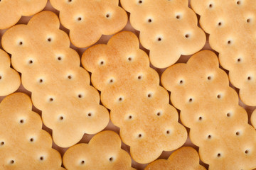 Cookies texture closeup