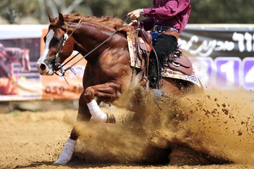Foto op Plexiglas Paardrijden Het zijaanzicht van een ruiter die een paard in het zand stopt.