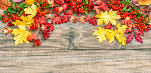 Autumn leaves and berries on rustic wooden background. Vintage s