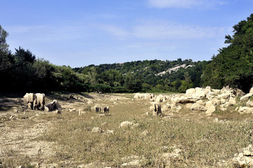 Obraz premium The bed of the river Gardon completely dry