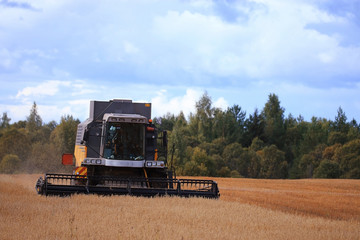 Fototapeta premium tractor in a field to harvest
