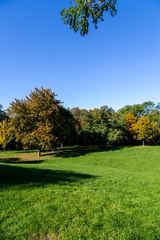 Grüner Park im Herbst in Deutschland