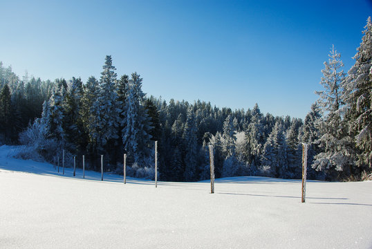 Winter landscape