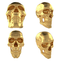 Scull50