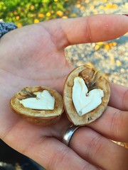 zwei Herzen in der Hand