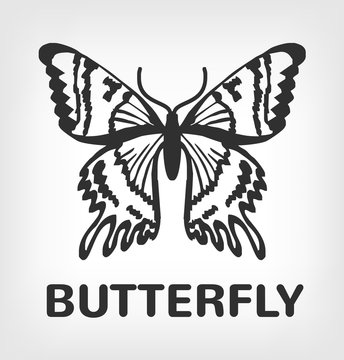 Butterfly silhouette vector black logo icon illustration