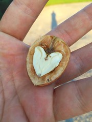 ein Herz aus Walnuss