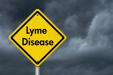 Lyme Disease Warning Road Sign