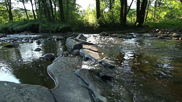 Mountain stream in the forest