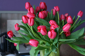 Большой букет красных тюльпанов