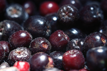 texture of berries chokeberry