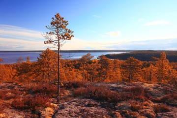 Fototapeta na wymiar Yellow autumn landscape in the mountains