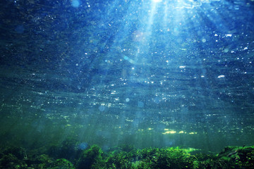 Naklejka premium Underwater in a mountain river