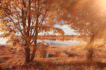 landscape background in sunny autumn park