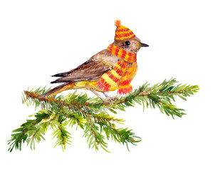 Winter bird in hat and scarf on pine tree branch. greeting card 