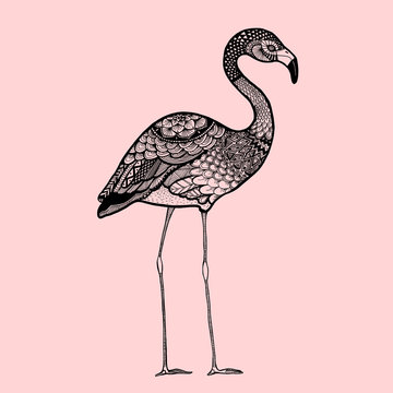 Ornamental Flamingo, trendy ethnic zentangle design, hand drawn, isolated vector illustration