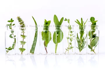 Foto op Plexiglas Kruiden Fles etherische olie met kruid heilig basilicumblad, rozemarijn, oreg