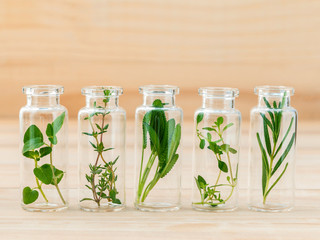 Bottle of herbs lemon thyme ,thyme ,oregano,rosemary andsage lea