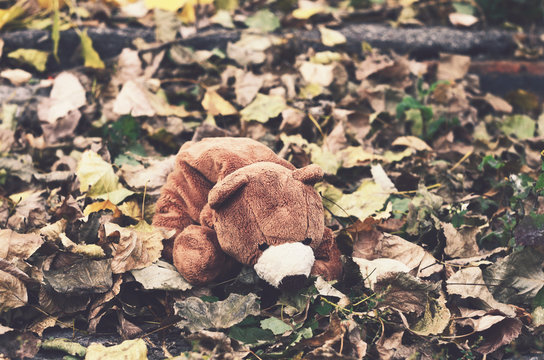 Teddy bear in autumn leaves