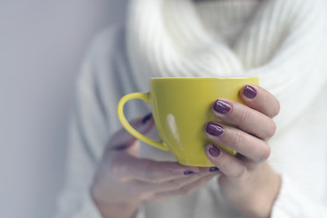 Cup of tea or coffee in female hands.