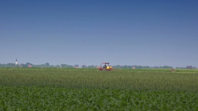 Agricultural tractor in field spraying fungicide solution on wheat crops