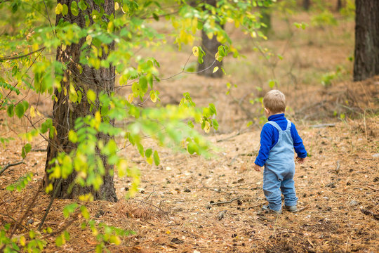 baby boy hiking in a forest