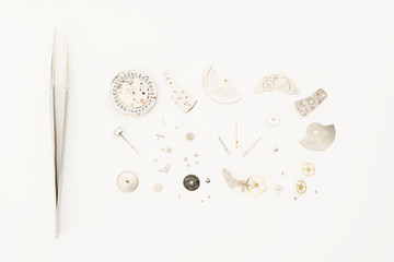 Reparation and restoration of watches