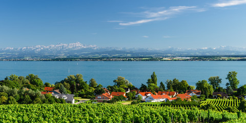 Panorama Bodensee