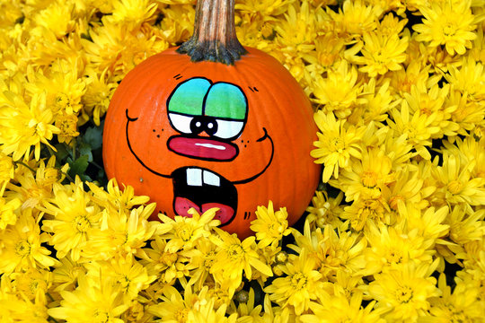 funny face on fall pumpkin in yellow mums