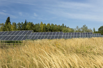 Solar Power Station in the autumn Nature