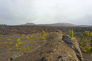 Lava along the Devastation Trail in the Volcanic National Park, Big Island, Hawaii