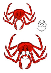 Red marine crab with a happy smile