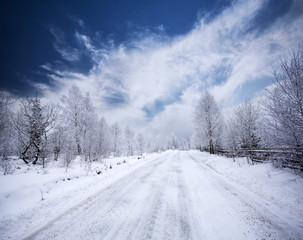 Fototapeta premium Snowy path