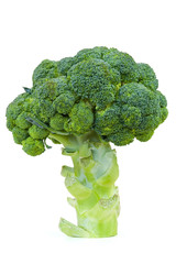 Broccoli cut out on white background