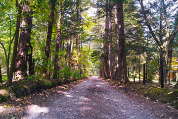 軽井沢別荘地の小道