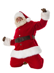 Santa Claus Portrait