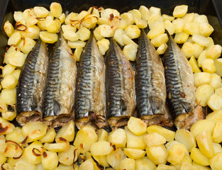 Cooking fish mackerel on a tray in the oven