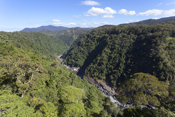 Australia Kuranda Forest Park