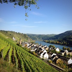 mosel