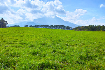 北軽井沢の浅間牧場の風景