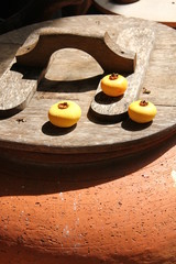 Gold Apple. Thai fruit