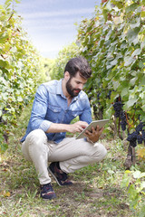 Young winemaker working