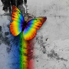 Plakat rainbow butterfly