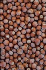 Hazelnuts
