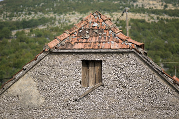 Authentic dalmatian house