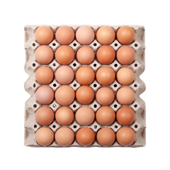 Eggs in paper tray
