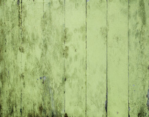 Obraz premium wood background