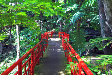Fototapeta na wymiar Path and bridge with red fence
