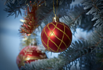 Christmas Tree Branch