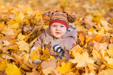 Cute baby in autumn leaves.